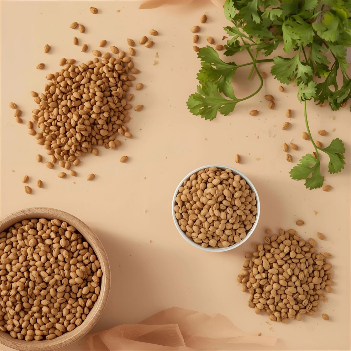 Coriander Seed