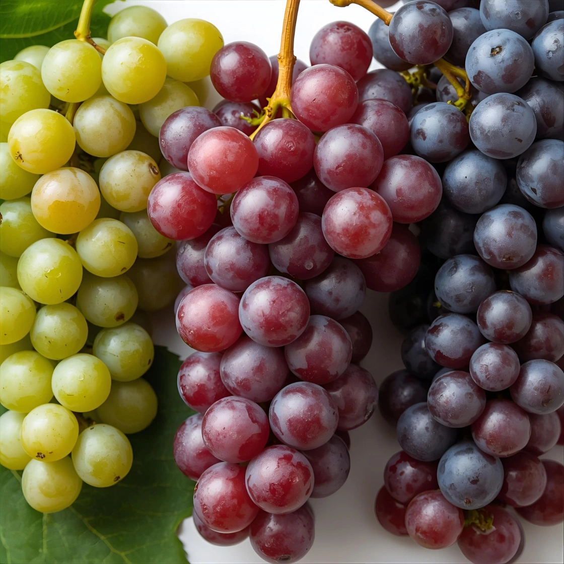 Fresh Grapes