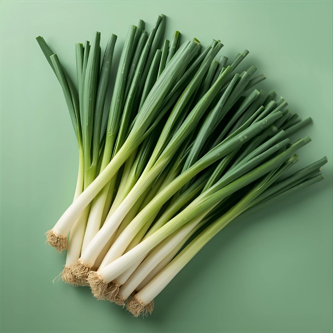 Fresh Spring Onions