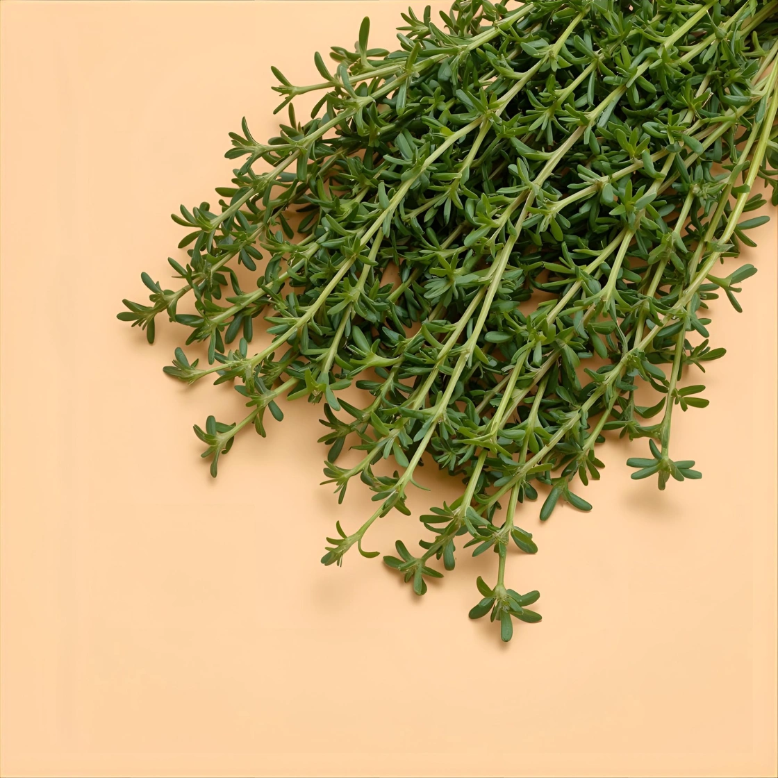Thyme